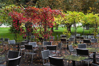 Empty chairs and tables in garden