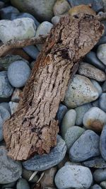 Full frame shot of logs