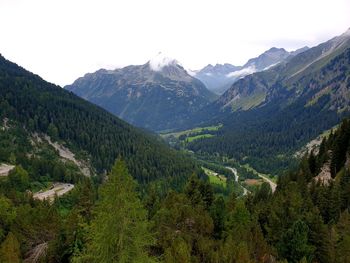 Scenic view of pine trees and mountains against sky