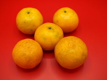 High angle view of oranges on table