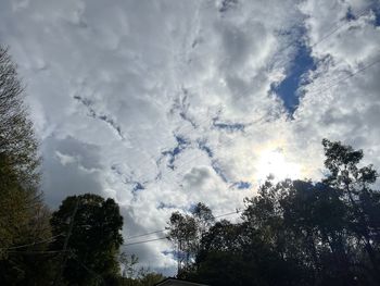 Low angle view of sunlight streaming through silhouette trees against sky