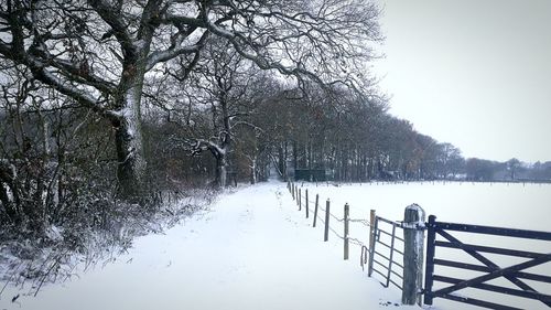 Snow covered trees by river against sky during winter