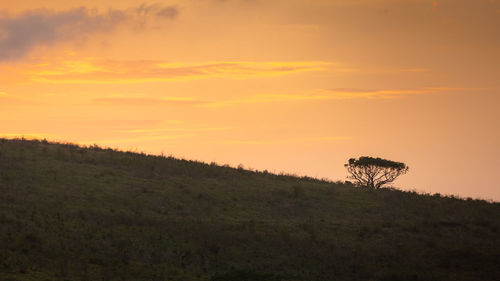 Scenic view of field against sky during sunset
