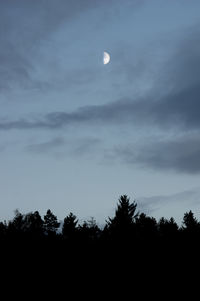 Low angle view of silhouette trees against sky at night