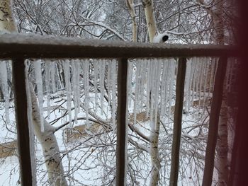 Bare trees against sky