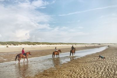 People riding horses at beach against sky