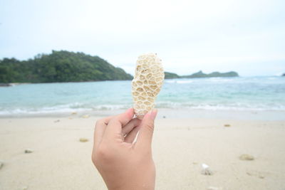 Cropped hand of woman holding coral against sea