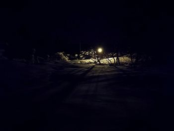 Road amidst trees against sky at night during winter