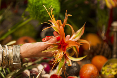 Close-up of hand holding flowering plant