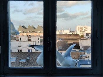 Buildings in city seen through glass window