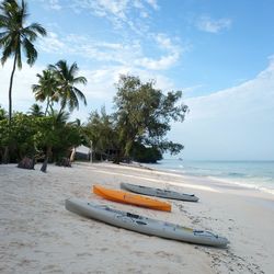 Coconut palm trees on beach against sky