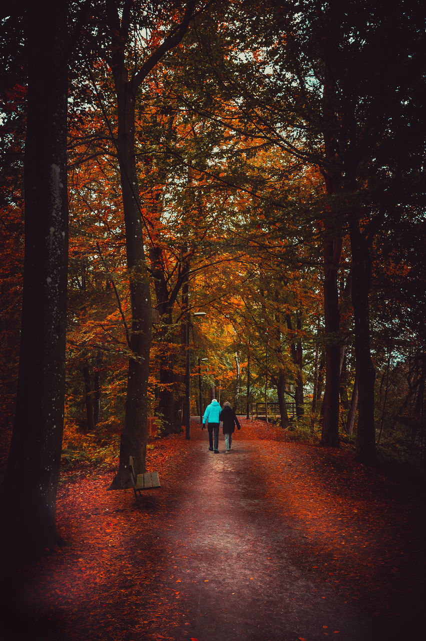 REAR VIEW OF WOMAN WALKING BY TREES DURING AUTUMN