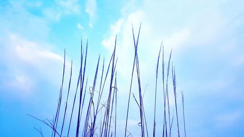 Low angle view of cloudy sky