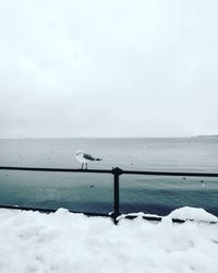 Birds perching on sea against sky