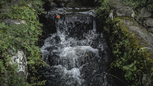 View of waterfall in forest