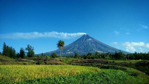 Scenic view of field and mountains against blue sky