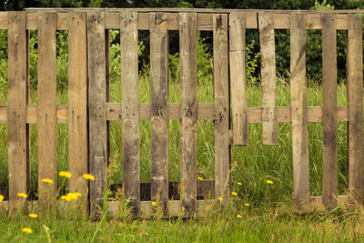 Wooden posts on field