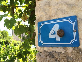 Snail on number 4 plate at stone wall by plants