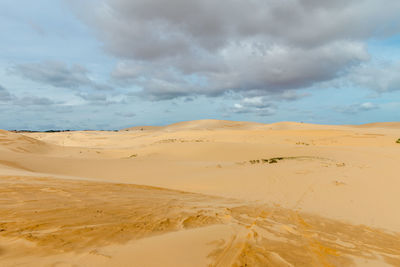 Scenic view of desert against sky