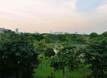 Trees and cityscape against sky during sunset