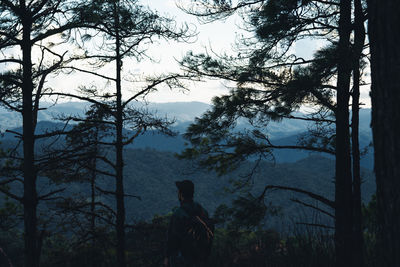 Man by trees in forest against sky