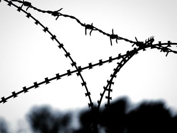 Close-up of barbed wire