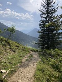 Dirt road amidst plants and mountains against sky