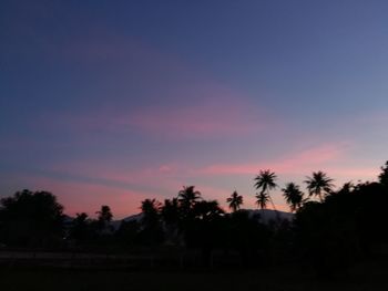 Silhouette trees against sky during sunset