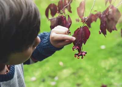 Close-up of boy holding leaf against blurred background