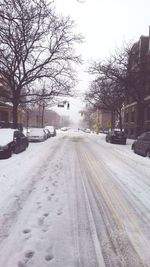 Snow covered road in city