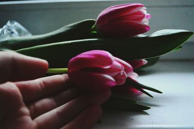 Close-up of cropped hand holding cup