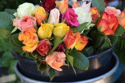 Close-up of roses for sale