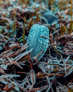 High angle view of frozen plants on field during winter