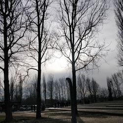 Bare trees on landscape against sky