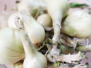 Close-up of garlic