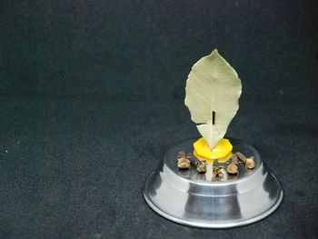 High angle view of ice cream on table