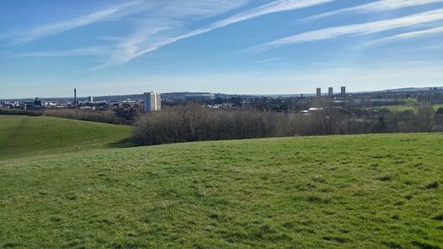 Scenic view of field against sky