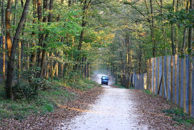 Road amidst trees in forest