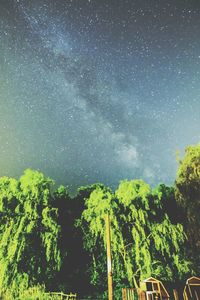 Low angle view of tree against sky