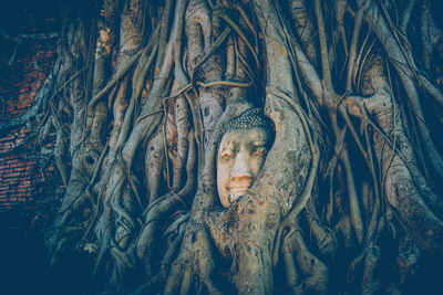 Statue of buddha against tree trunk