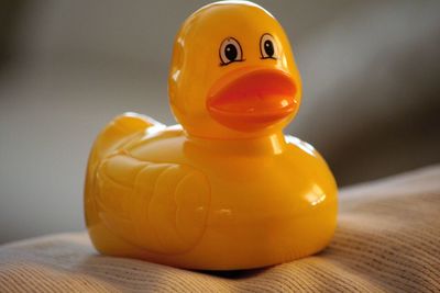 Close-up of yellow toy duck