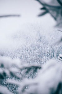 Close-up of snow