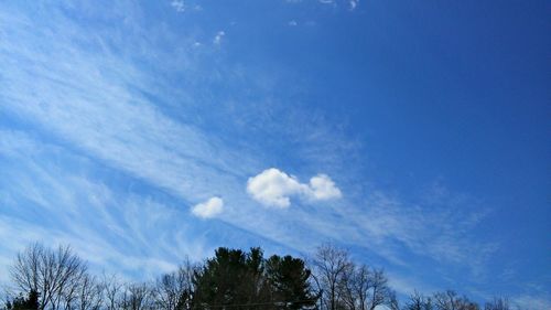 Low angle view of bare trees against blue sky