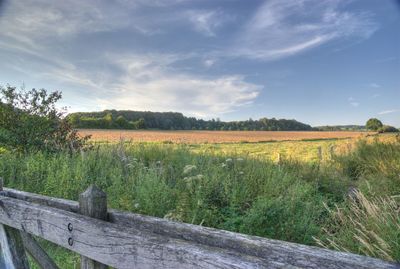 Scenic view of field against sky