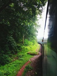 View of train passing through forest