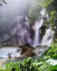 Waterfall in forest