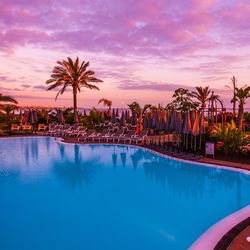 Palm trees at sunset