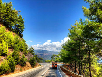 Road amidst trees against blue sky