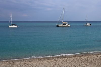 Sailboat sailing on sea against sky