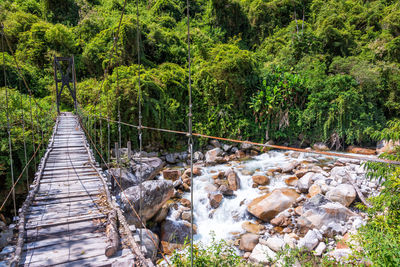 Wooden footbridge over stream in forest